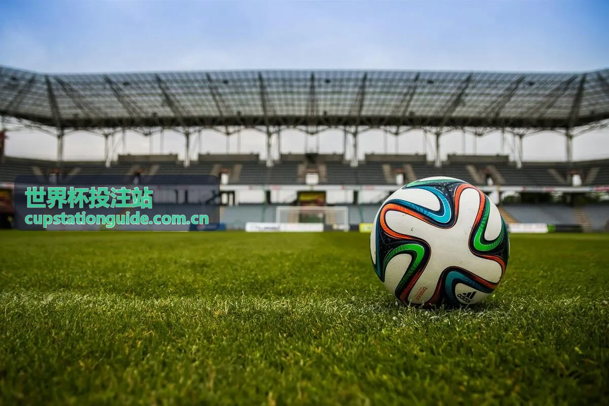 世界杯投注站可持续奢华环保材料