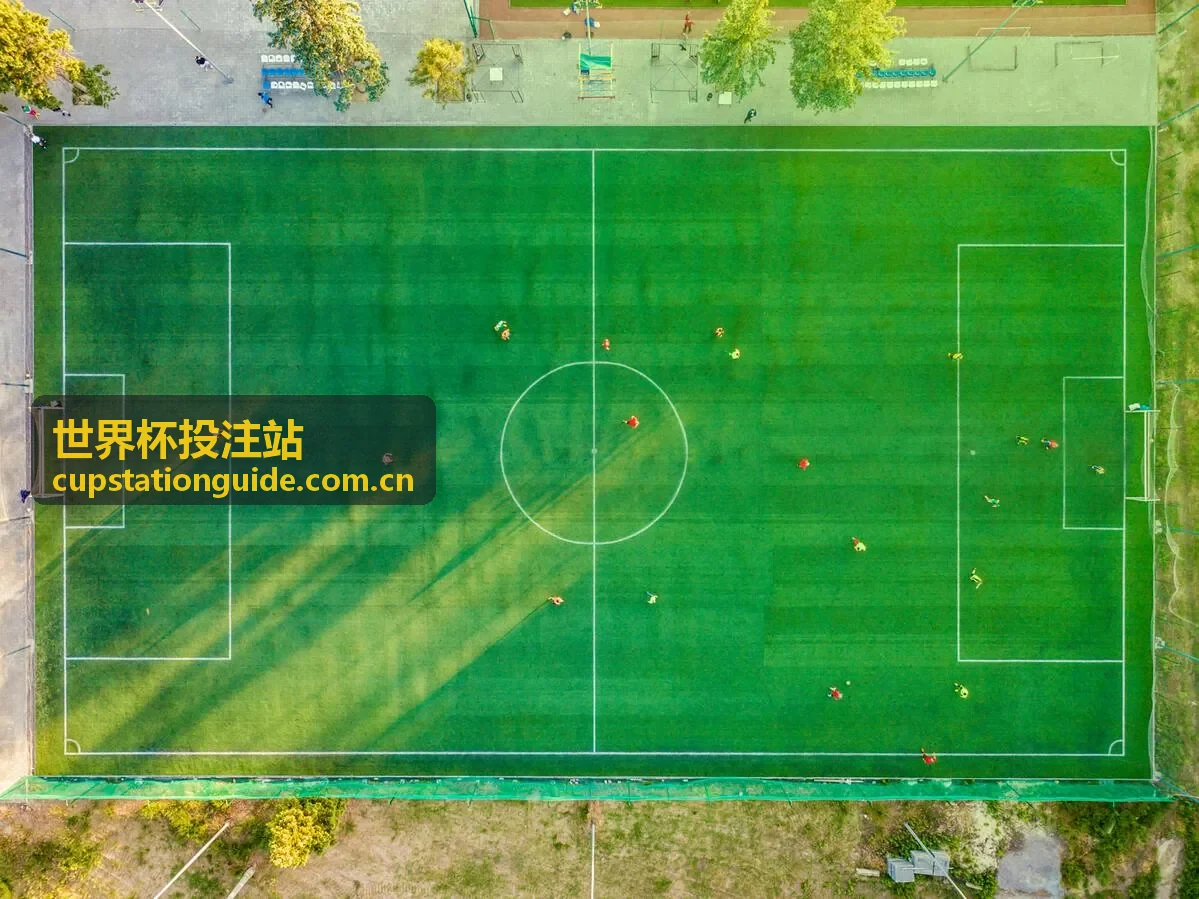 世界杯投注站高级珠宝工艺探秘